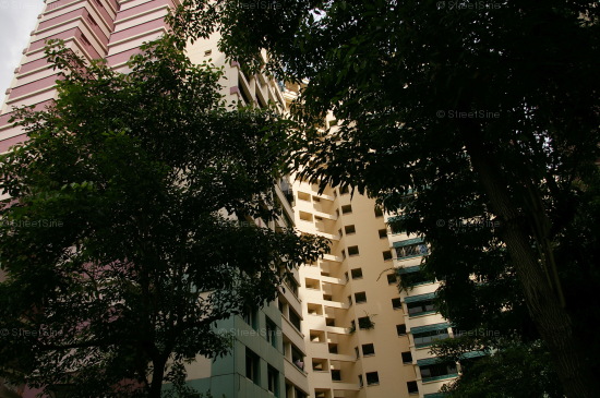 Bukit Batok Street 24 thumbnail photo
